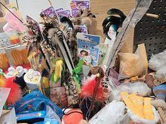 -電力宠物公司(武定路店)