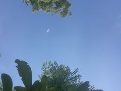 -云漫湖生态度假公园