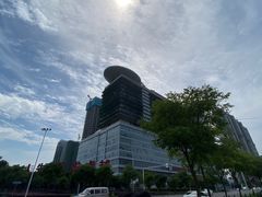 -武汉亚心总医院