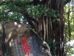 -乌山风景区