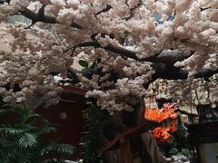 -嘉悦汗蒸时代(曙光路店)