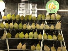 -都念榴莲·城市榴莲