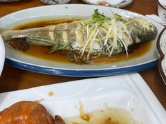 -望海潮海鲜店 特色家常菜(在海一方店)