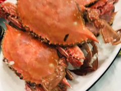 -金海湾海鲜排档(朱家尖店)