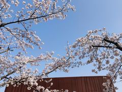-龙美术馆(西岸馆)