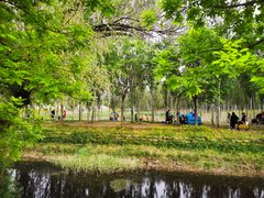-东郊湿地公园