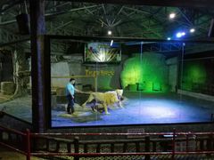 -清迈夜间动物园