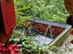 -黔灵山公园