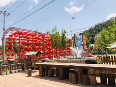 -龙福源密云水库灶台鱼