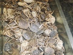 -欢乐牧场海鲜烤肉自助(牡丹园店)