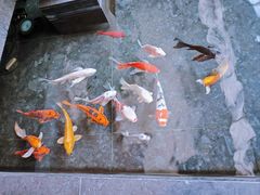 -天津海河悦榕庄·Lobby Lounge大堂吧