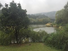 -溪口-滕头旅游景区