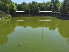 -尚庄度假村·庭台树下·户外烧烤·团建CS·轰趴营地(上庄水库店)