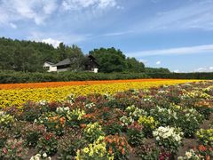 -富田农场