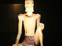 -新加坡佛牙寺龙华院