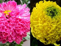 -共青国家森林公园-售票处