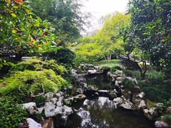 -杭州西子湖四季酒店-WL BISTRO西湖餐厅(灵隐路店)