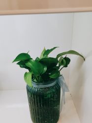 -SOR索尔祛痘·面部肌肤科学管理