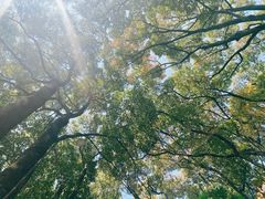 -狼山风景名胜区