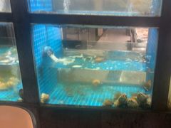 -码头鲜精致威海菜(欧乐坊店)