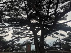 -罗田薄刀峰风景区