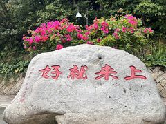 -普陀山慧济禅寺