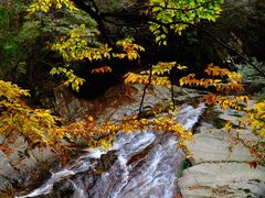 -光雾山旅游景区