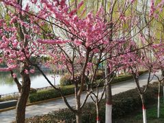 -西安汉城湖景区