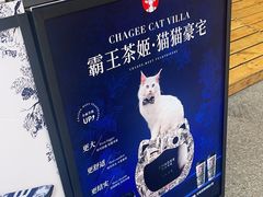 -霸王茶姬(正佳广场店)
