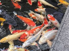 -聚福宝合苑食府(南头镇店)