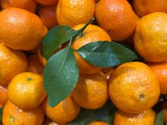 -银座商城(东城店)