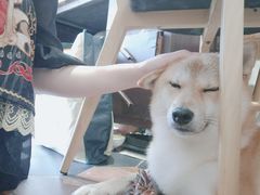 -About Bistro關於·泰式家庭料理