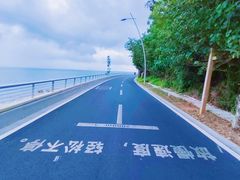 -杨梅坑