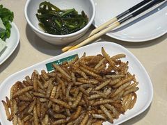 -爱膳菌锅锅(阳南店)