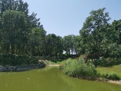 -大兴滨河森林公园