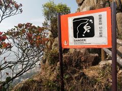 -狮子山郊野公园