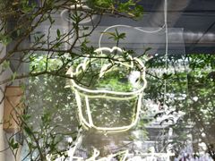 -喜茶(上海打浦桥日月光gelato lab+店)