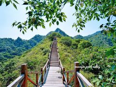 -大岭沟猕猴桃谷风景区