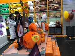 -line friends(明洞旗舰店)