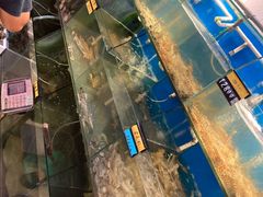 -胖大嫂渔家排档·全海景餐厅(渔村店)