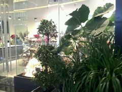 -植物学家的女儿(北马道巷店)