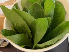 菠菜-羊守一(九棵树店)