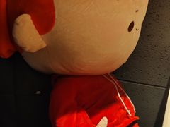 -海底捞火锅(枫蓝国际购物中心店)