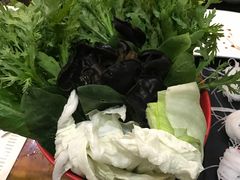 蔬菜拼盘-北门涮肉·铜锅涮肉(南锣鼓巷店)