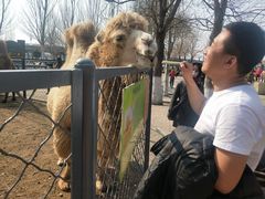 -长白岛森林公园