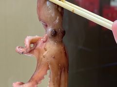 -前王院•巧克力海鲜市集餐厅(万平口店)