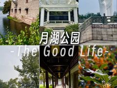 -月湖公园