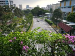 -龙海鲜螃蟹王(宏茂桥店)