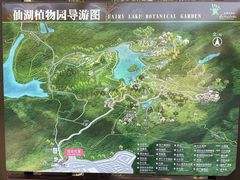 -深圳仙湖植物园