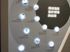 -O2ark智能微高压氧舱(天津旗舰店)